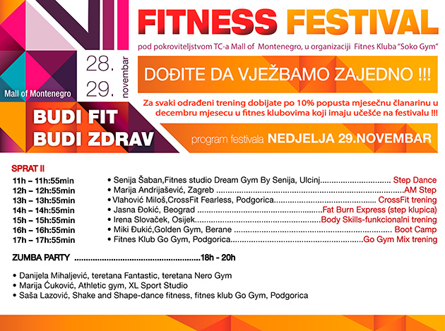 2015-11-fitness-festival-nedelja